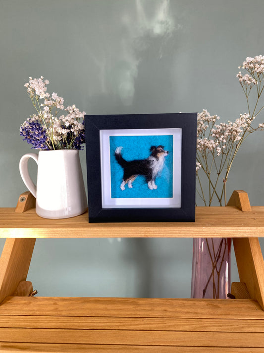Border Collie (3) - Mini Original