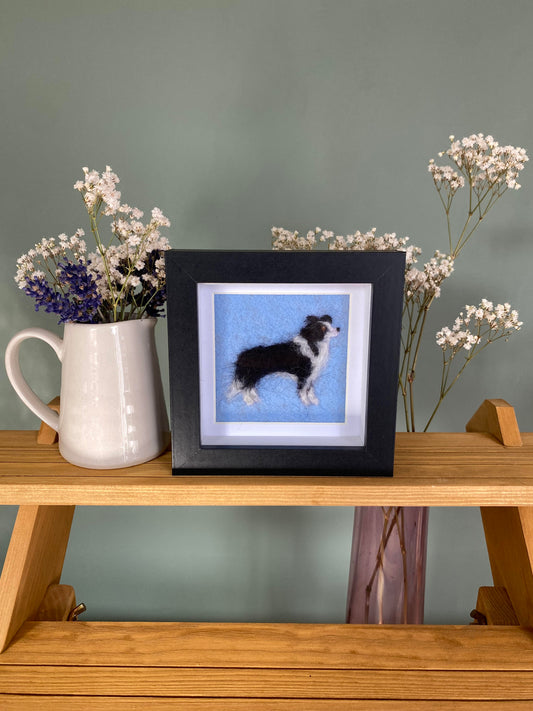 Border Collie (1) - Mini Original