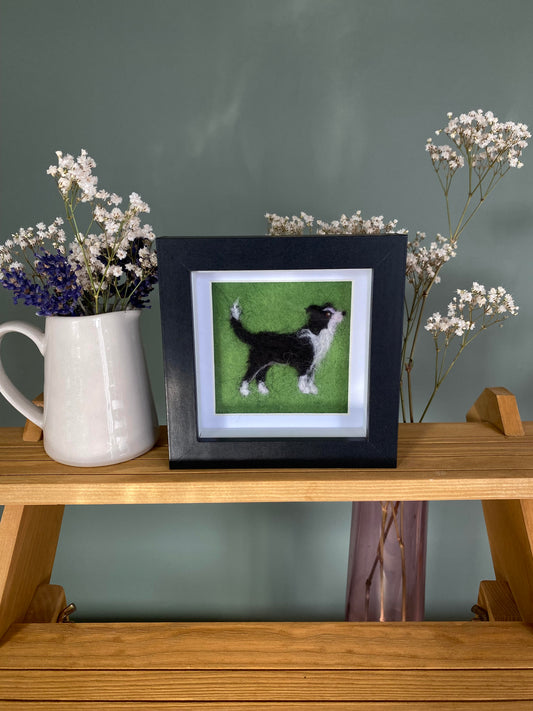 Border Collie (2) - Mini Original